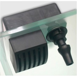 Two little fishies xaqua inout overflow and return